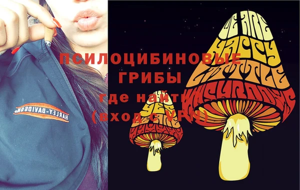 MDMA Premium VHQ Богородск