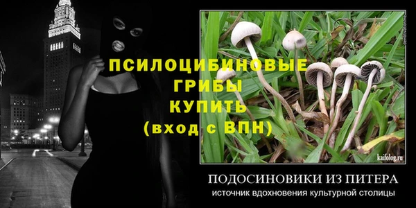 a pvp Богданович