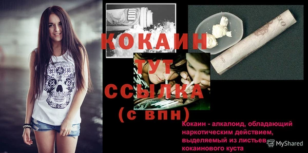 кокс Богородицк