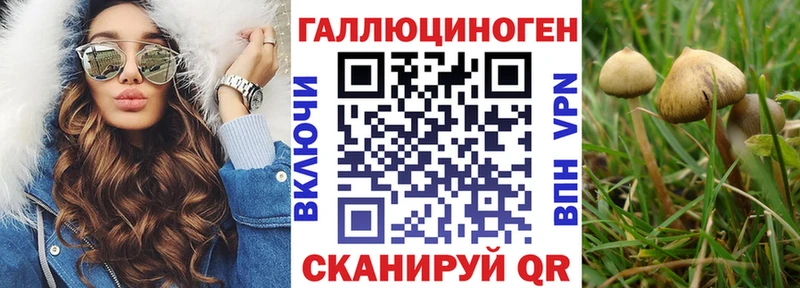 ОМГ ОМГ вход  Улан-Удэ  Псилоцибиновые грибы MAGIC MUSHROOMS 